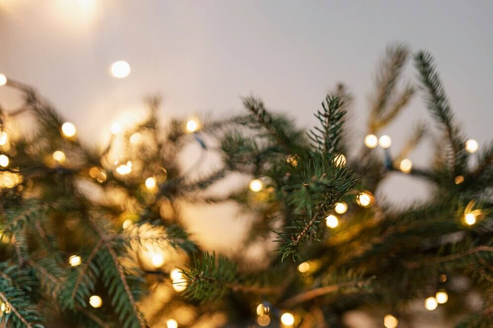 Waar moet je op letten bij het kopen van een kunstkerstboom?